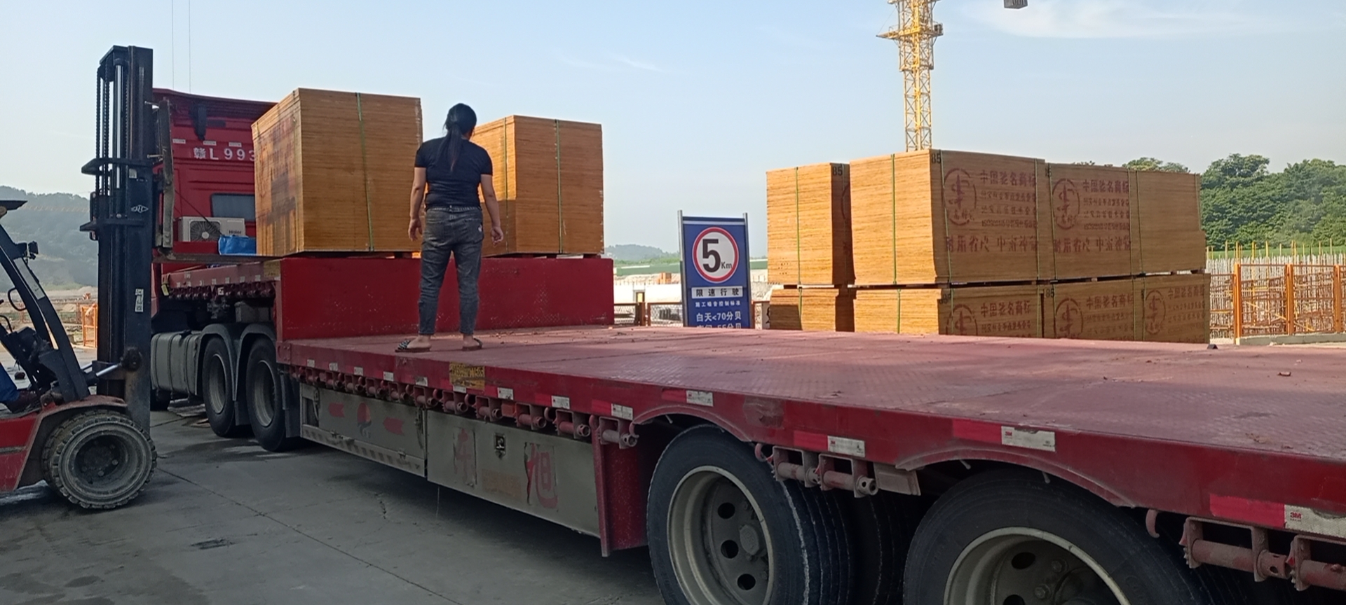 建筑模板 建筑模板