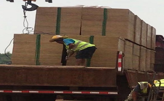 建筑模板 建筑模板