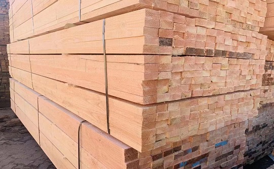 微信图片_20220614084449.jpg 微信图片_20220614084449.jpg