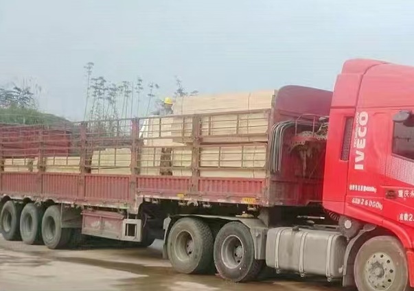 微信图片_20230112085947.jpg