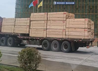 福建神箭建筑木方品牌影响力不怕多家对比!