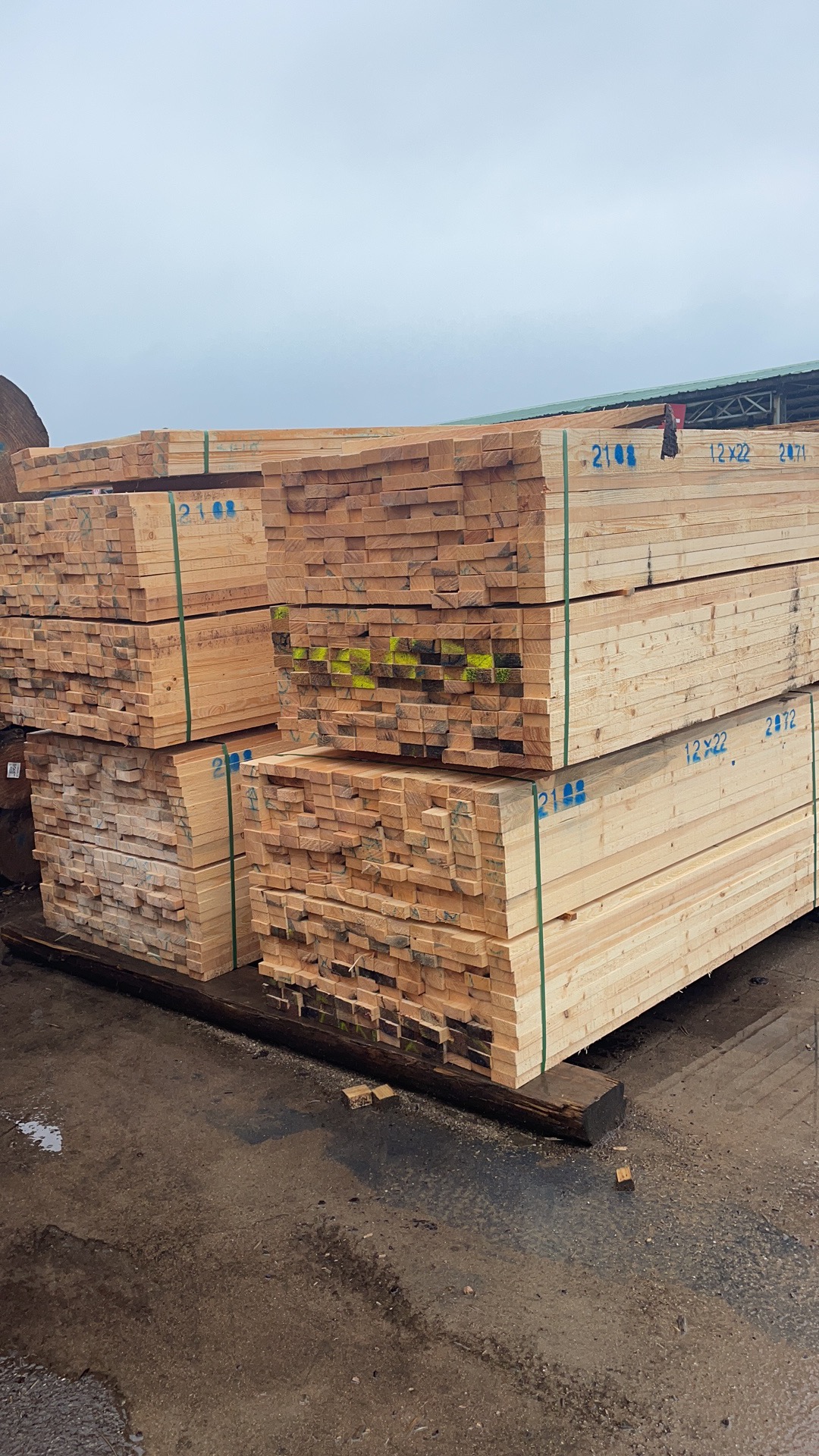 d60d0d4dc17be481e4b902f852a3d65.jpg d60d0d4dc17be481e4b902f852a3d65.jpg