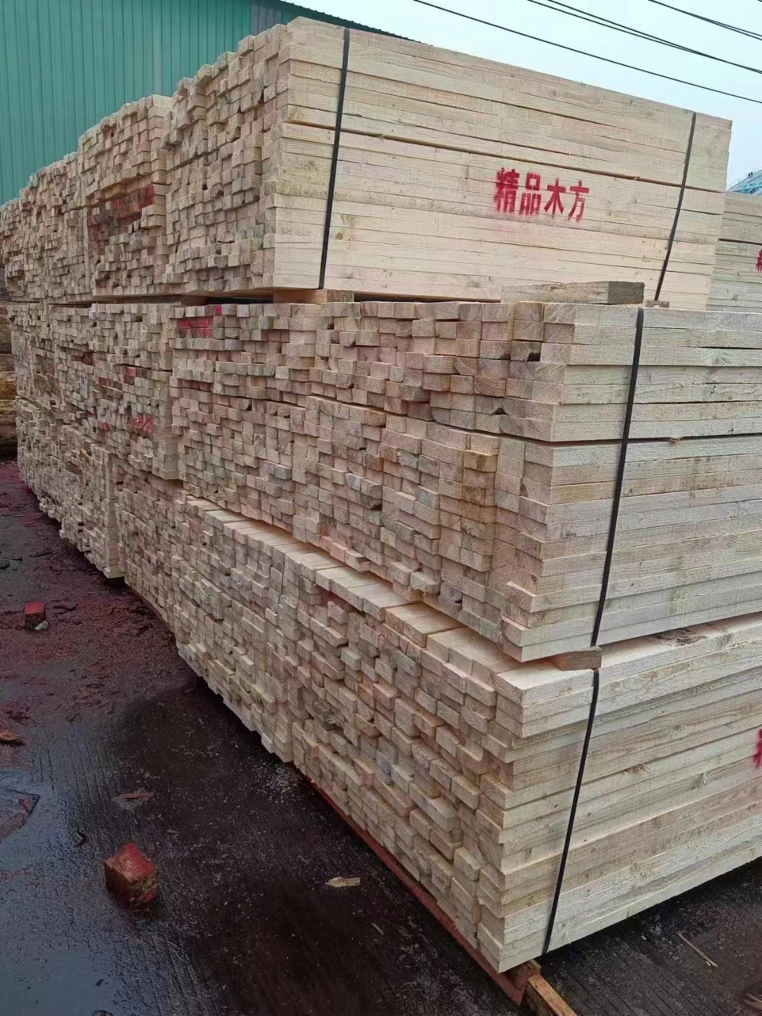 微信图片_20240322100739.jpg 微信图片_20240322100739.jpg